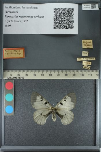 Media type: image;   Entomology 180159